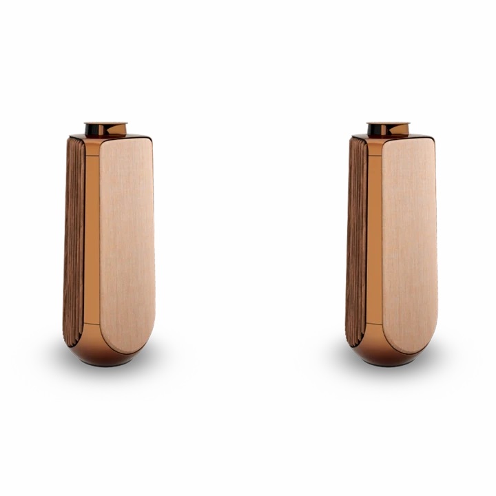 Loa Bang & Olufsen Beolab 50