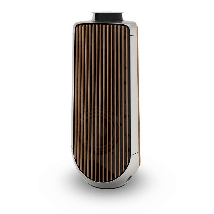 Loa Bang & Olufsen Beolab 50
