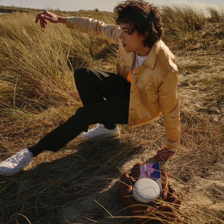 Loa Bang & Olufsen Beosound A1 2nd