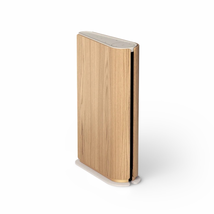 Loa Bang & Olufsen Beosound Emerge