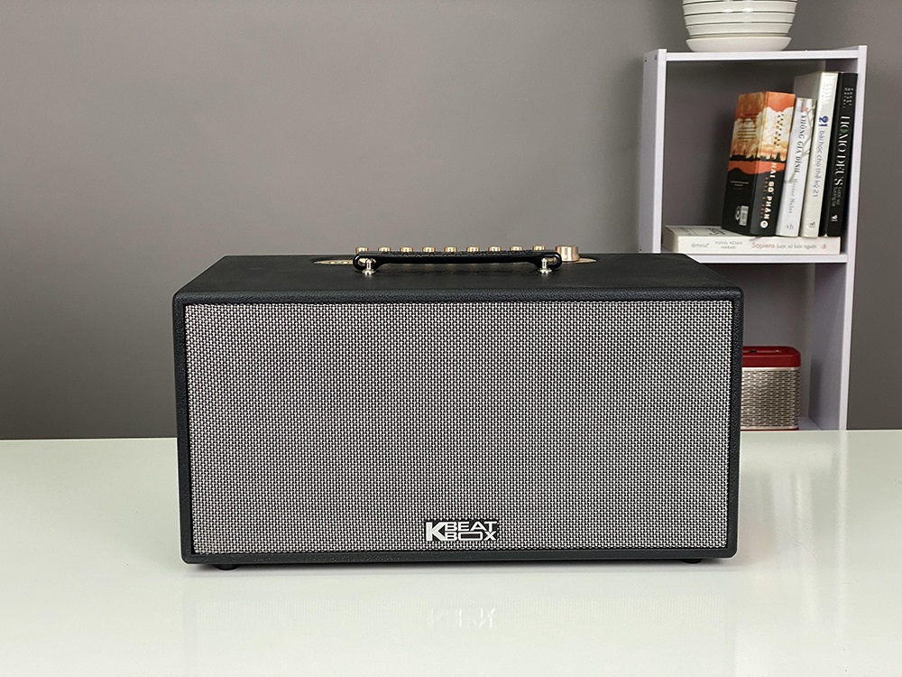 Dàn Âm Thanh Di Động Acnos CS447