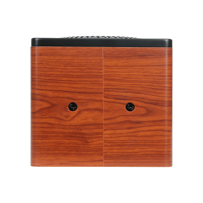 Loa Boston Acoustics MD208