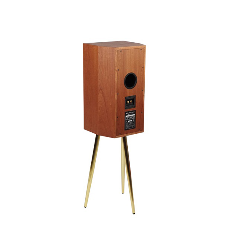 Loa Boston Acoustics The Horn 10