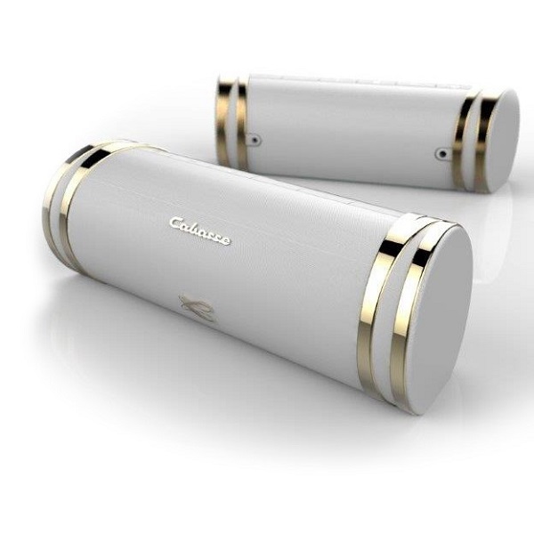 Loa Cabasse The Swell