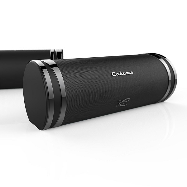 Loa Cabasse The Swell