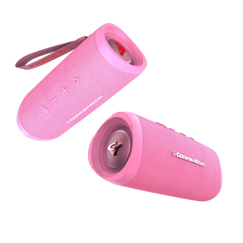 Loa Cerwin Vega Mini