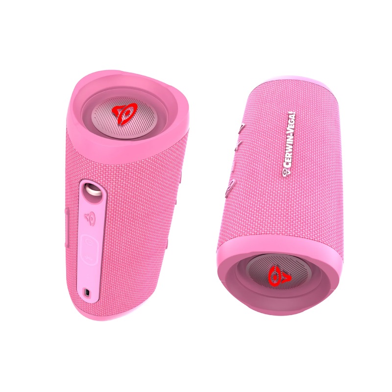 Loa Cerwin Vega Mini