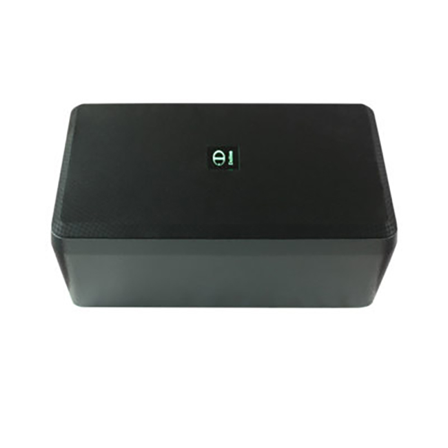 Loa Dalton TS-10G300X