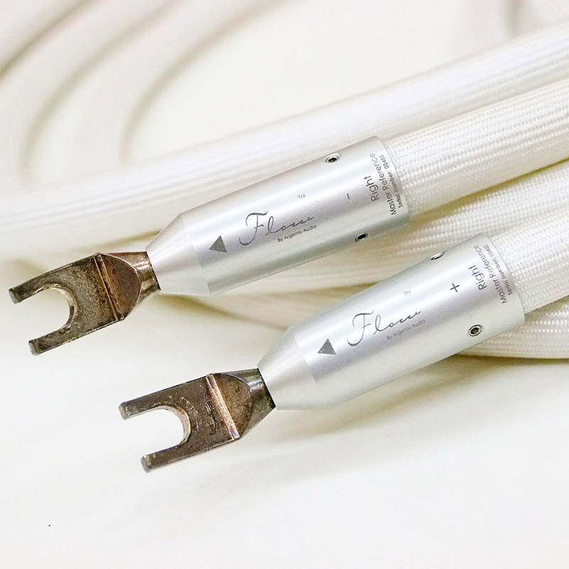 Dây loa Argento Flow Master Reference