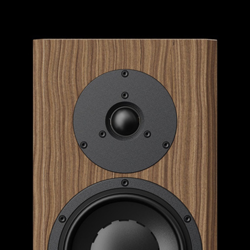 Loa Dynaudio Special Forty