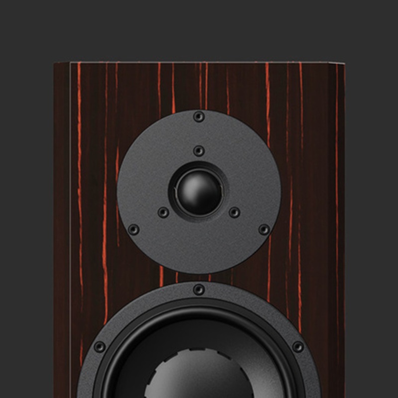 Loa Dynaudio Special Forty