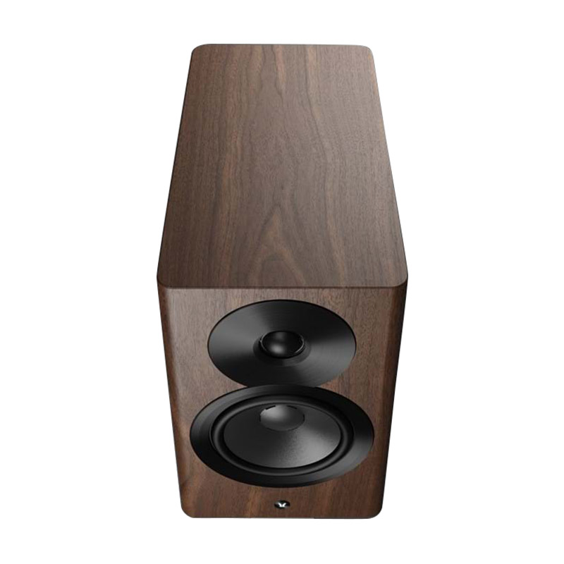 Loa Dynaudio Focus 10