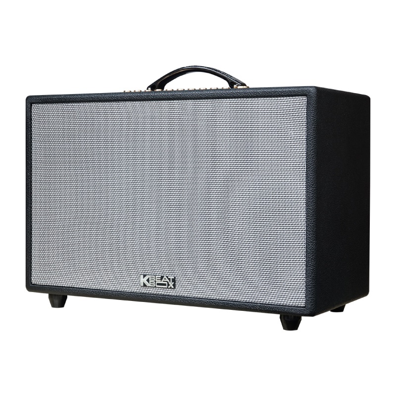 Loa Acnos Hinet 3600 Gen 2