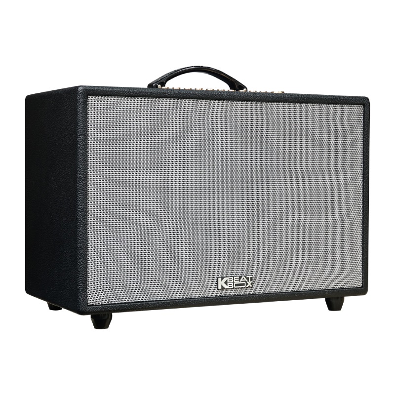 Loa Acnos Hinet 3600 Gen 2