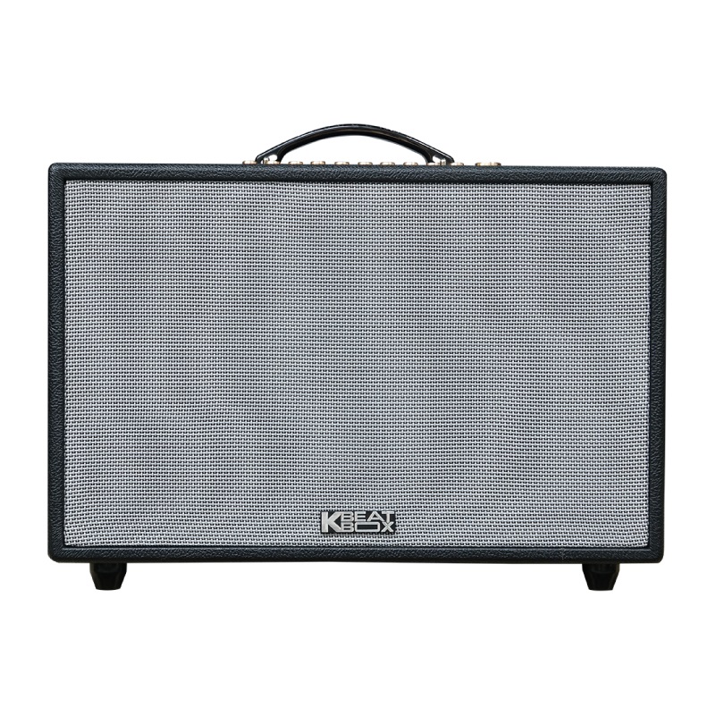 Loa Acnos Hinet 3600 Gen 2