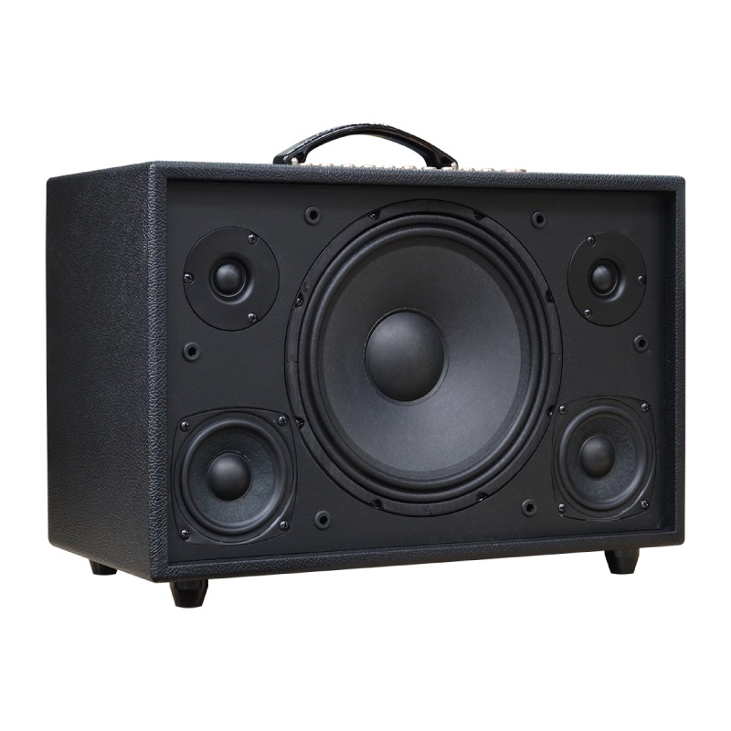 Loa Acnos Hinet 3600 Gen 2