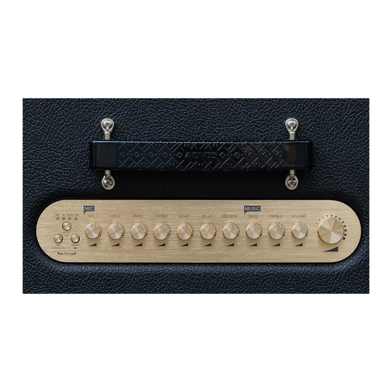 Loa Acnos Hinet 3600 Gen 2