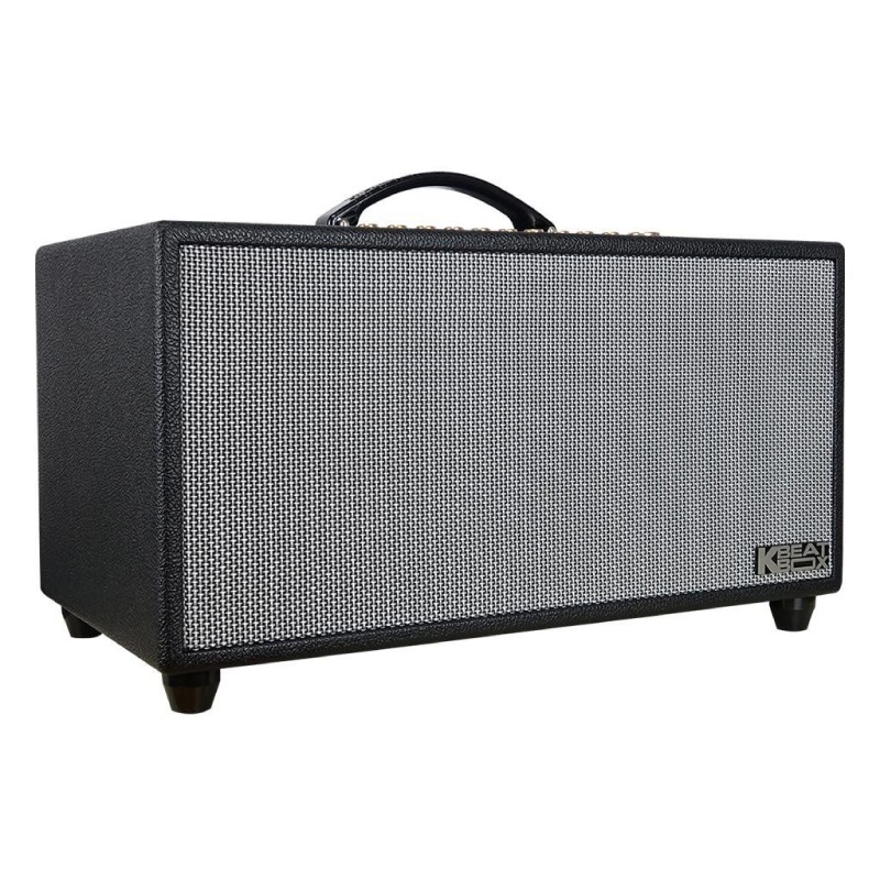 Loa Acnos HiNET 450 Gen2