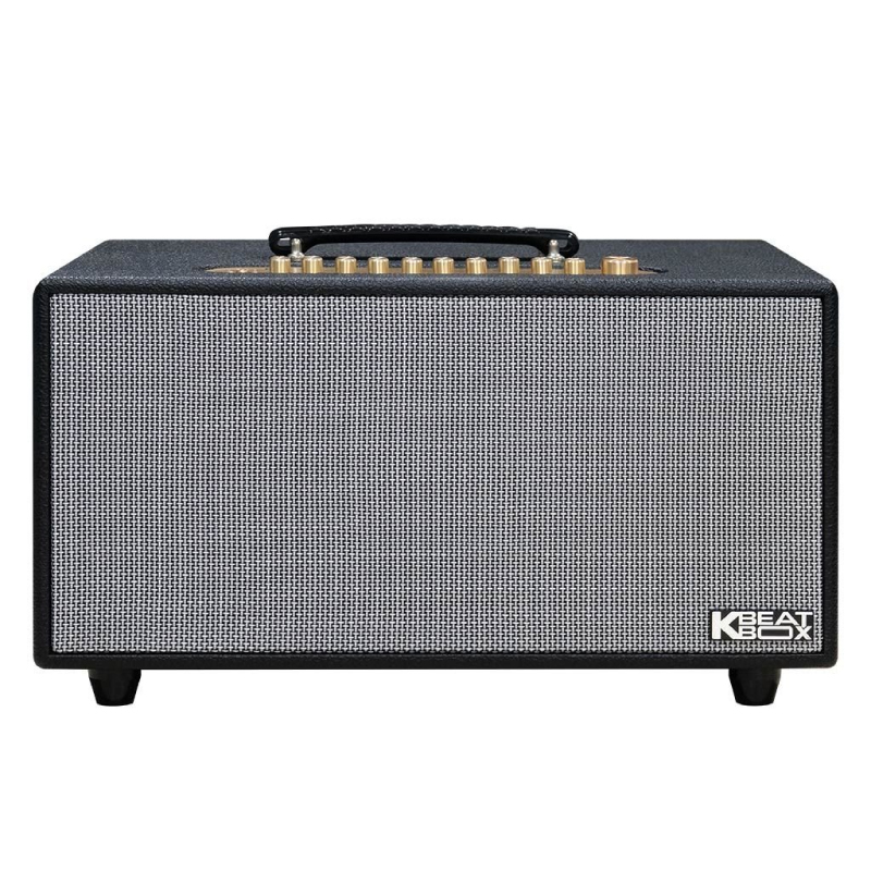 Loa Acnos HiNET 450 Gen2