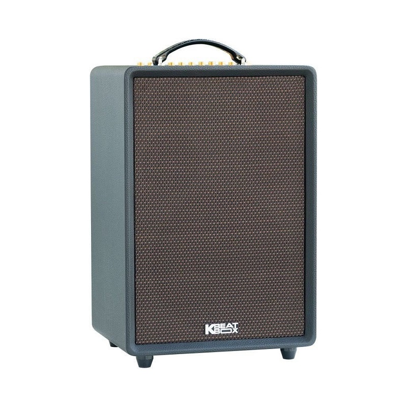 Loa Acnos High Fidelity Pro