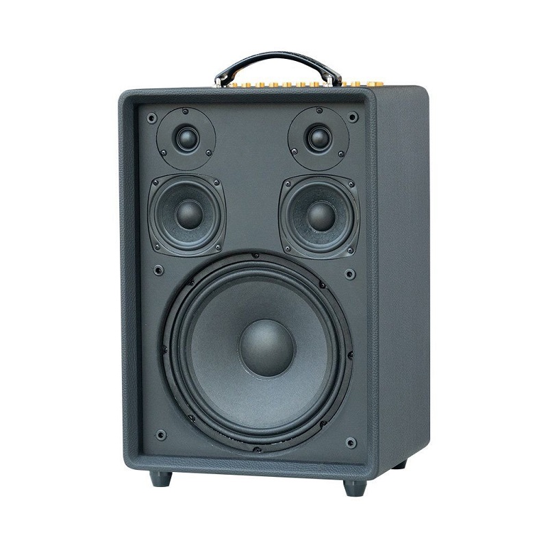 Loa Acnos High Fidelity Pro