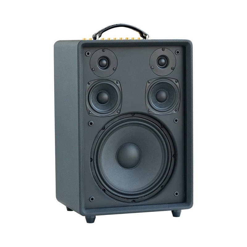 Loa Acnos High Fidelity Pro