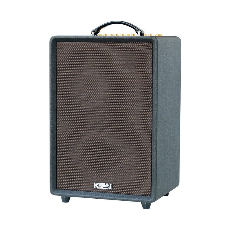 Loa Acnos High Fidelity Pro