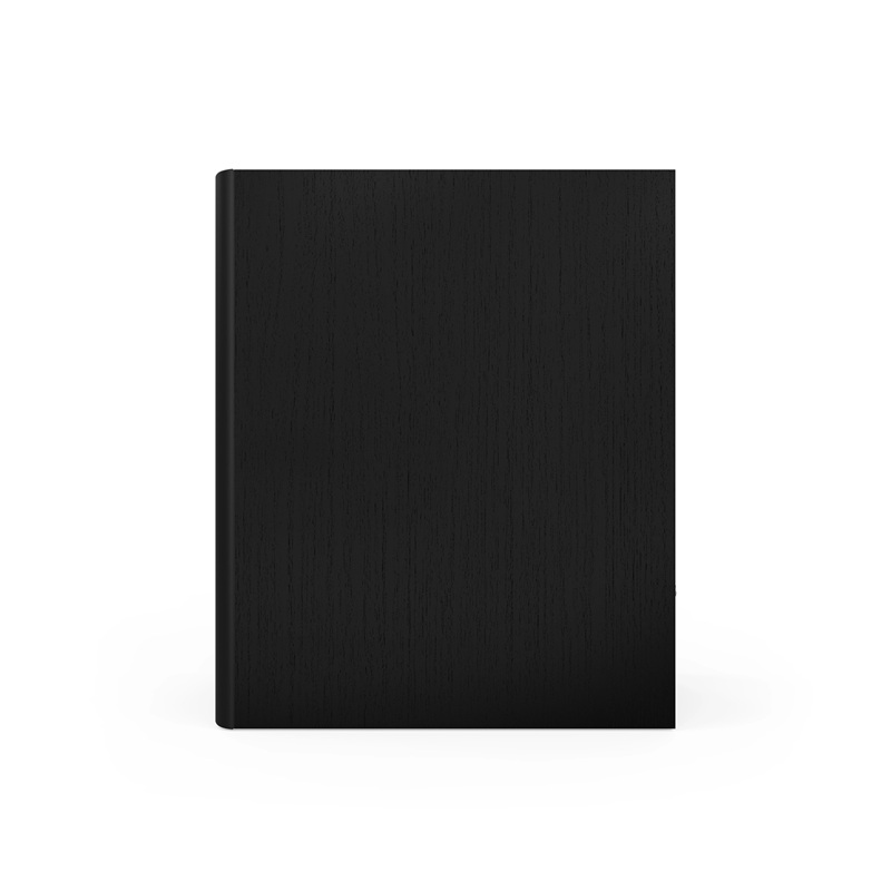 Loa Klipsch The Nines II