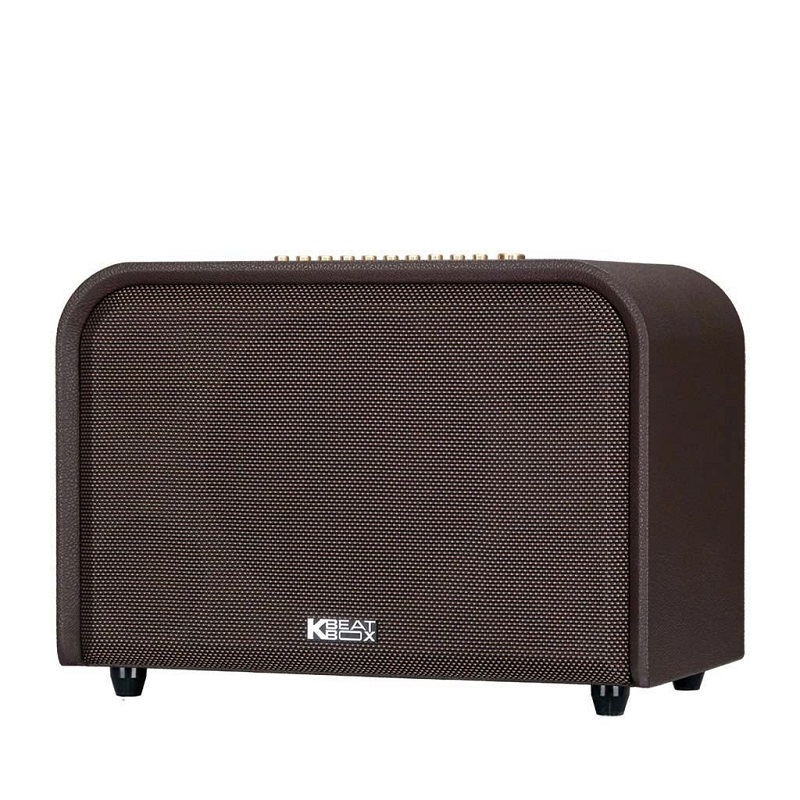 Loa karaoke Acnos Acoustic 3