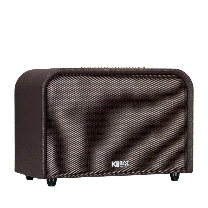 Loa karaoke Acnos Acoustic 3