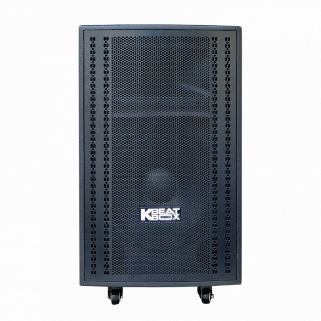 Loa Acnos CB3050G