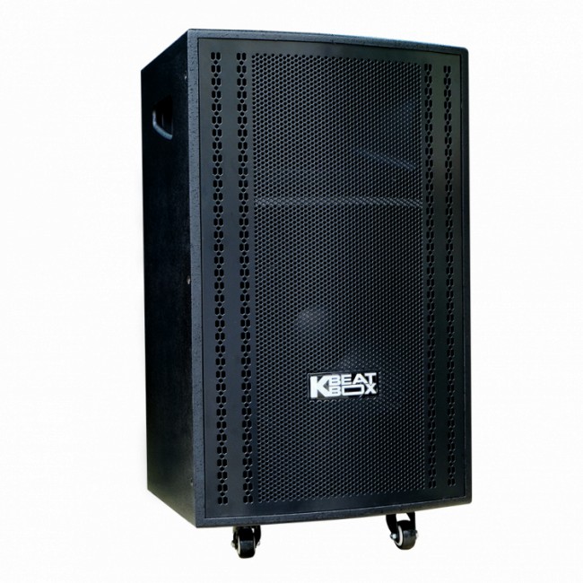 Loa Acnos CB3050G