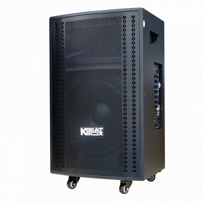 Loa Acnos CB3050G