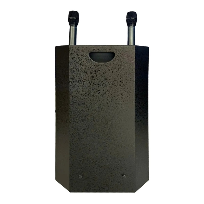 Loa Acnos CB4800Plus