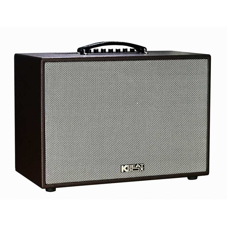 Loa karaoke di động Acnos CS250PUW chính hãng