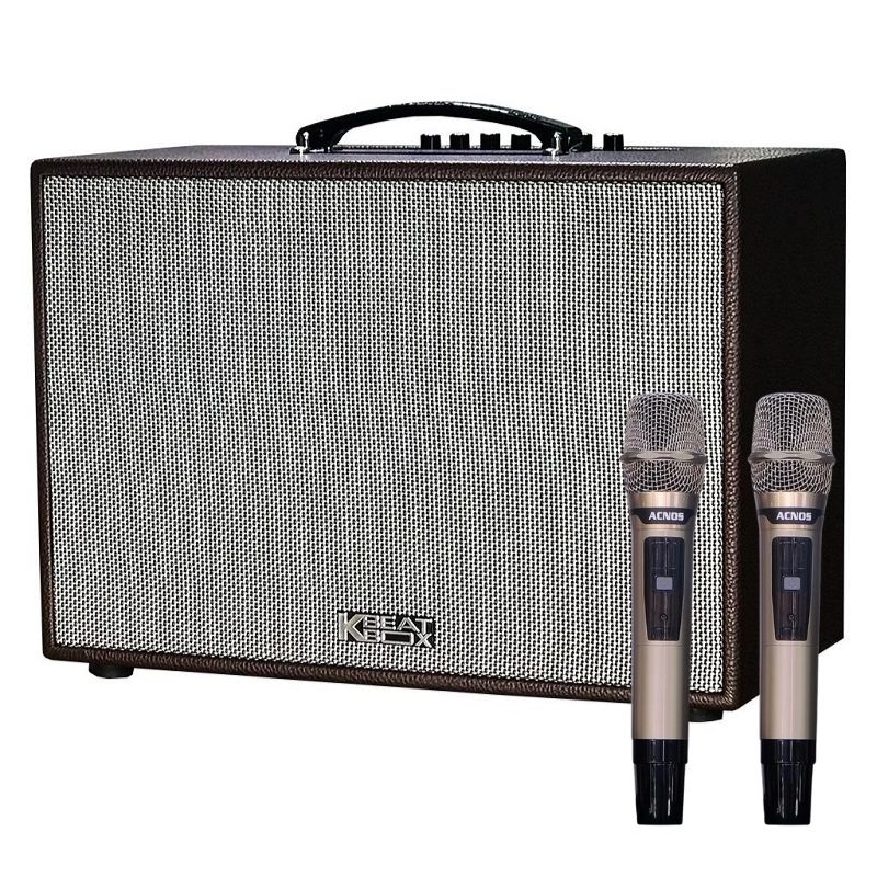 Loa Acnos CS261PU