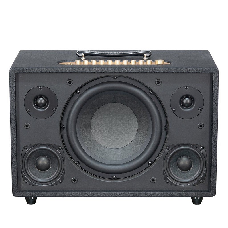 Loa Acnos CS3800 Pro