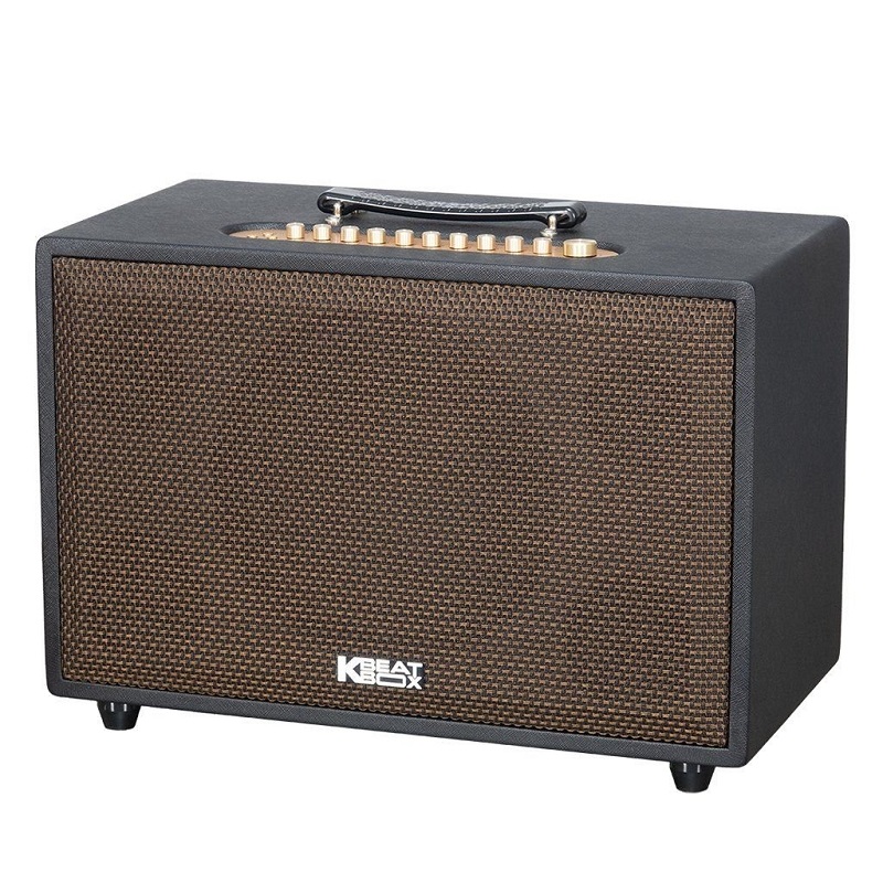 Loa Acnos CS3800 Pro