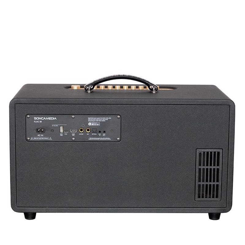 Loa Acnos Flac 36 Ver2