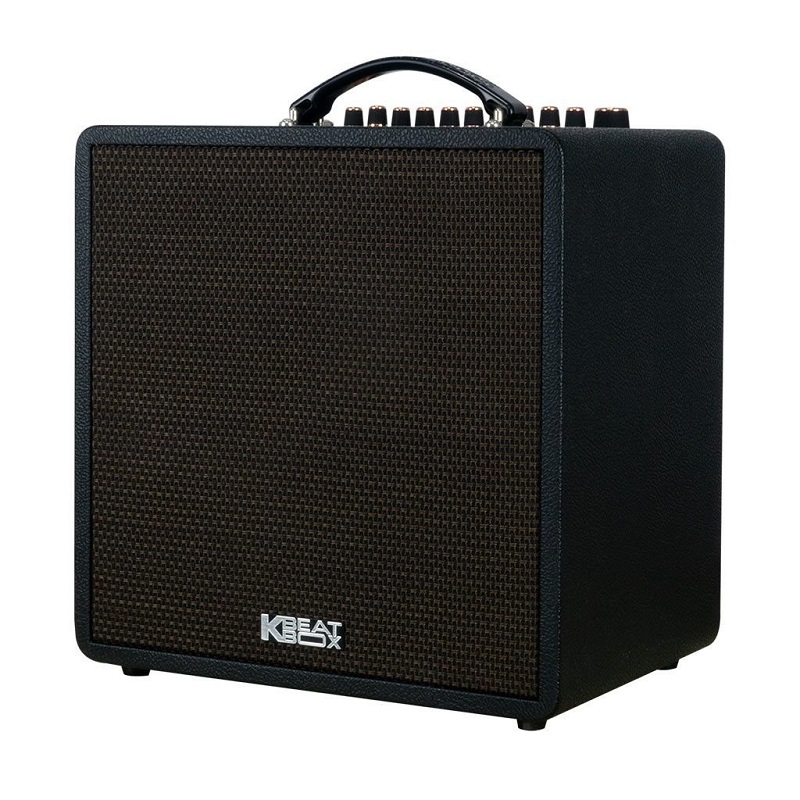 Loa ACNOS QUAD 64 Ver 2