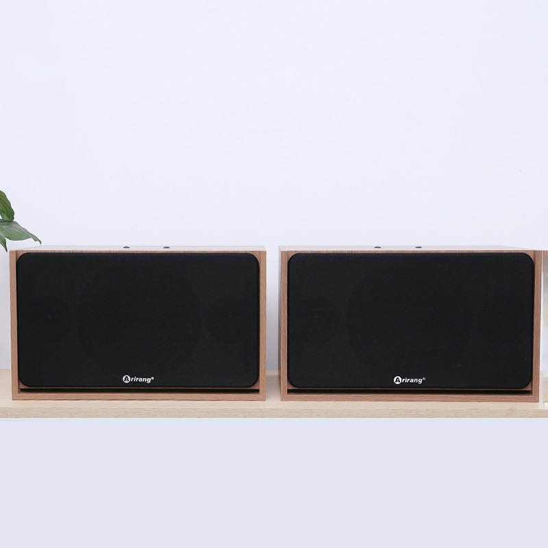 Loa Arirang Jant VIII