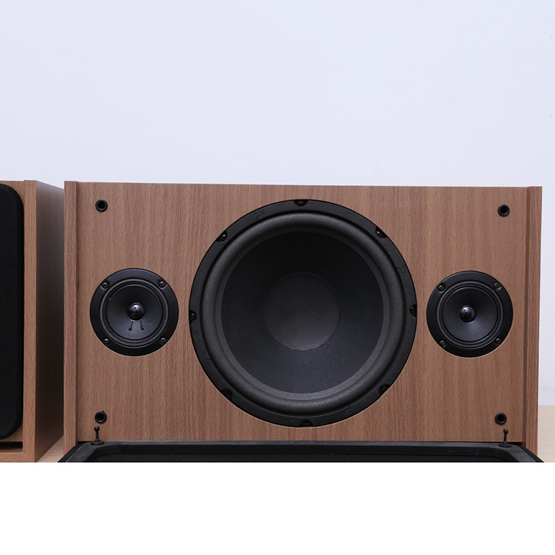 Loa Arirang Jant VIII