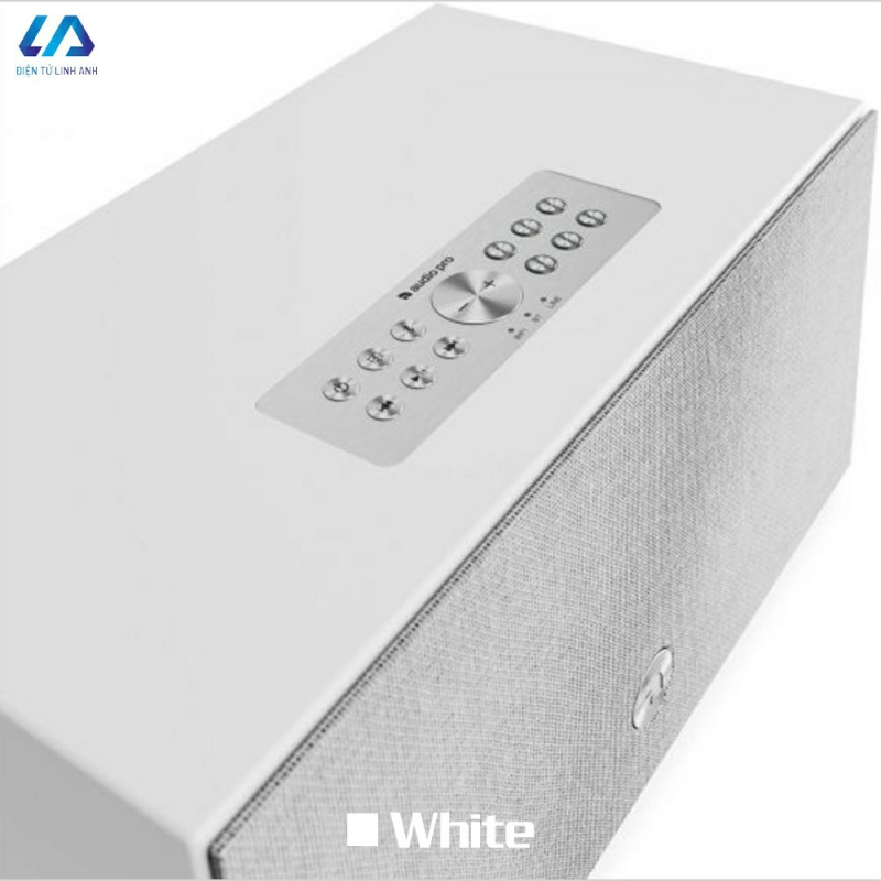 Loa Audio Pro Addon C10