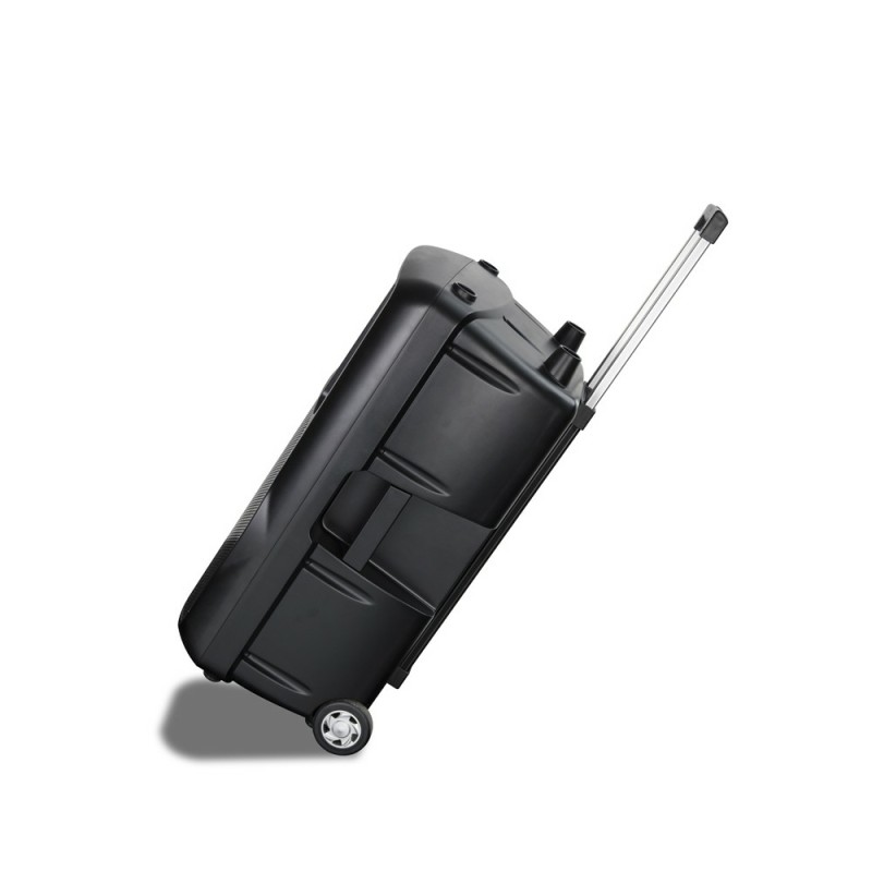 Loa AudioFrog Pro P15