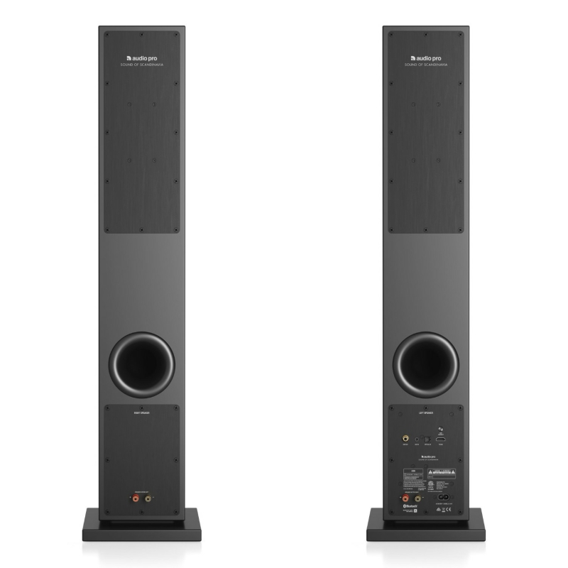 Loa Audio Pro A36