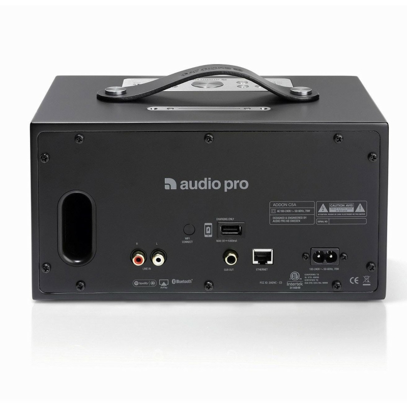 Loa Audio Pro Addon C5A