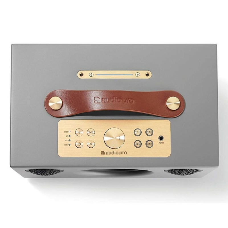 Loa Audio Pro Addon C5A