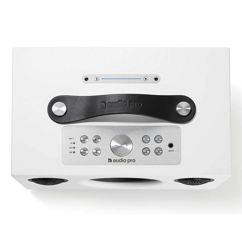 Loa Audio Pro Addon C5A