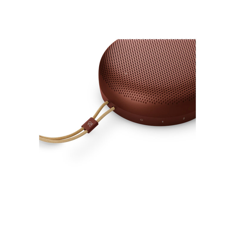 Loa Bang & Olufsen Beosound A1 3rd