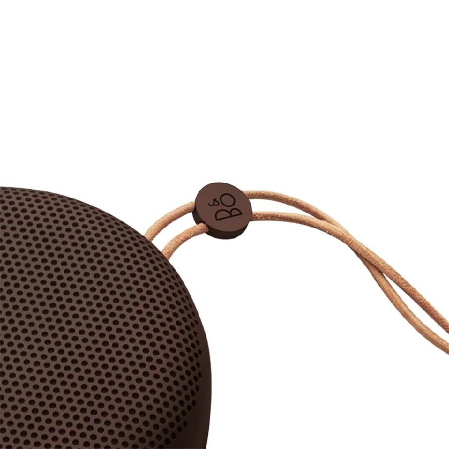 Loa Bang & Olufsen Beoplay A1
